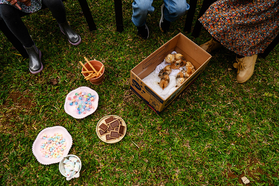 Crianças reunidas no jardim durante a festa de aniversário da Vicky