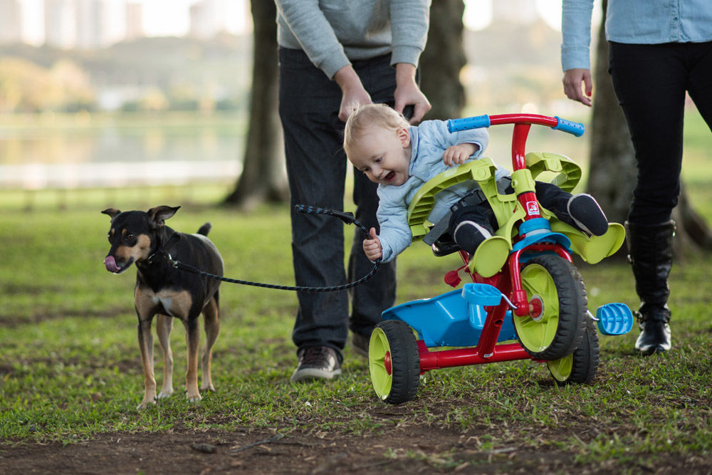 Foto Fotografia de Família no Parque Barigui com Pet - Imagem 9