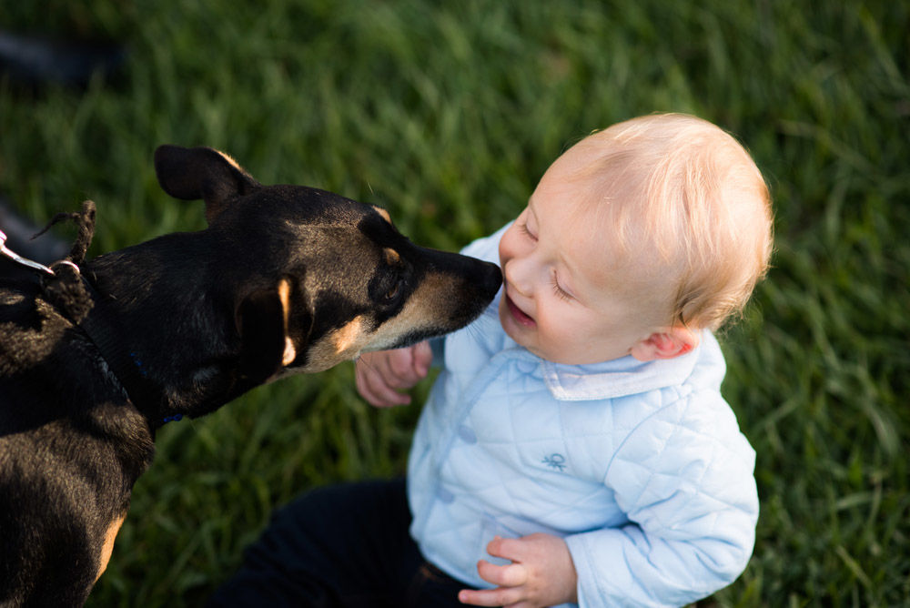Foto Fotografia de Família no Parque Barigui com Pet - Imagem 1