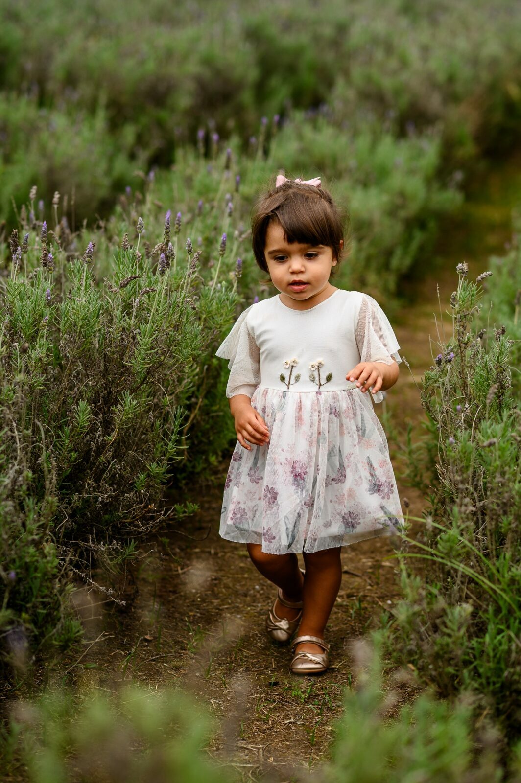 Foto 10 - Um ensaio em família cheio de amor em meio à natureza