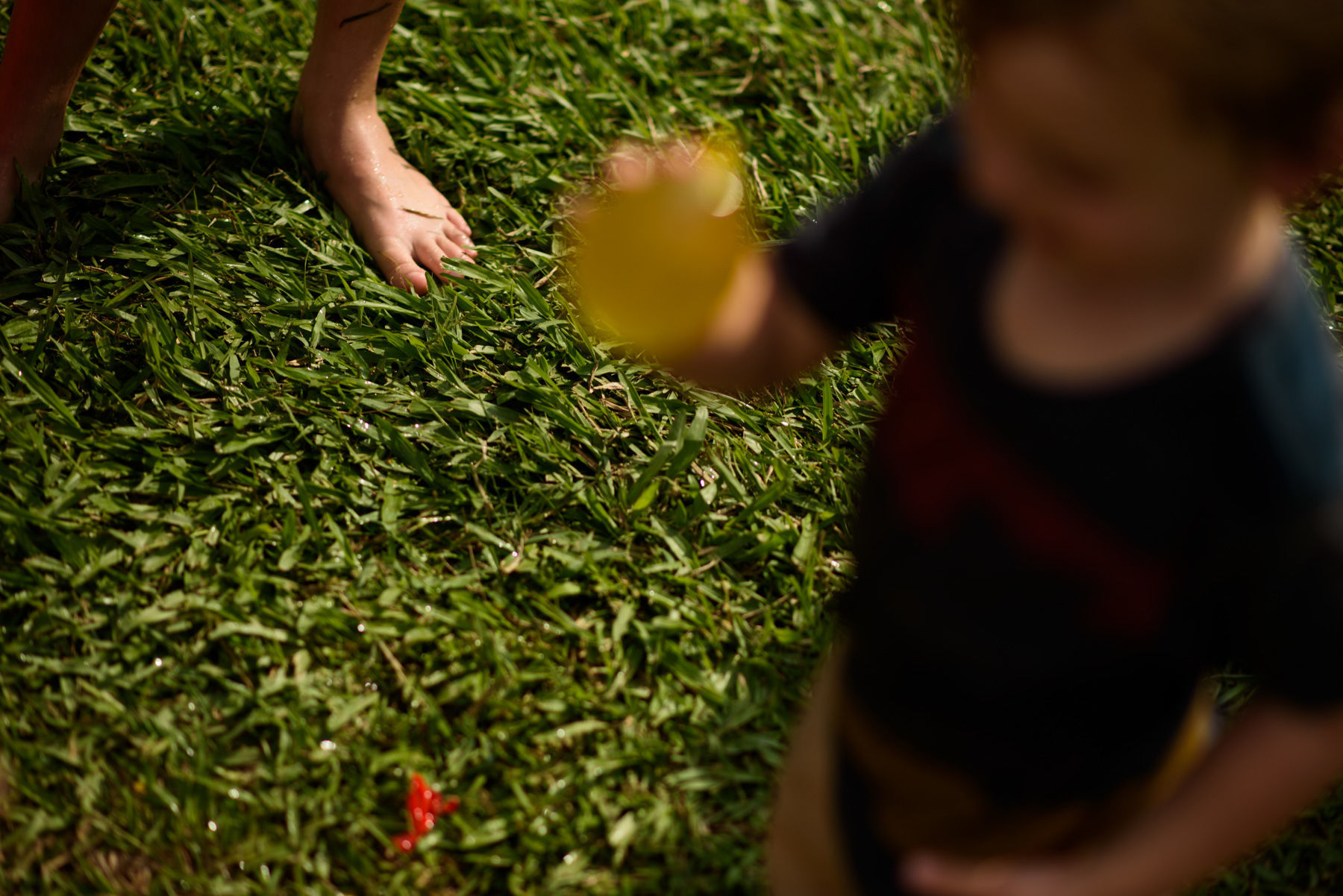 Foto Festa Infantil na Fazenda em Blumenau - SC - 3 anos Mark - Imagem 20